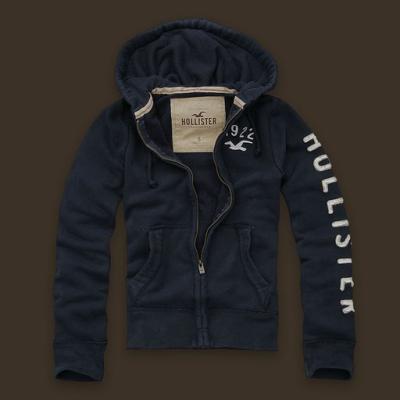 Hollister Men Hoodies-75